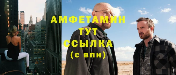 прущие крисы Бородино