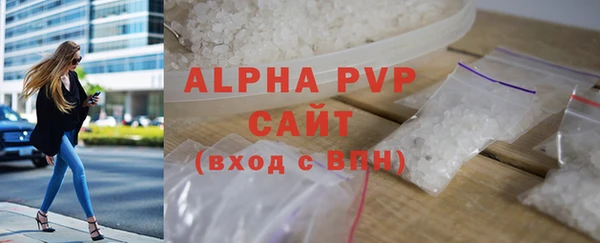 прущие крисы Бородино