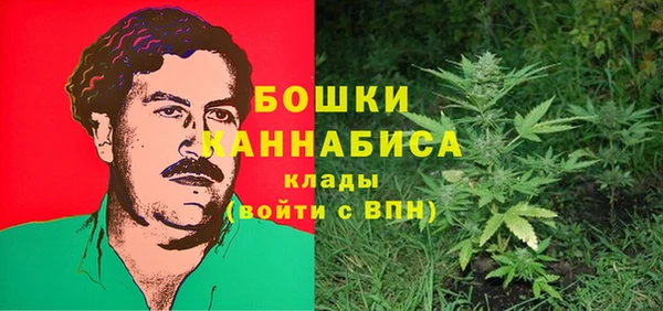 прущие крисы Бородино