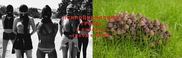 МДПВ Бронницы