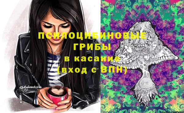 прущие крисы Бородино