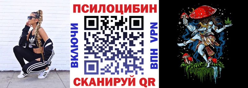 mega как зайти  Йошкар-Ола  Псилоцибиновые грибы Magic Shrooms  цены  